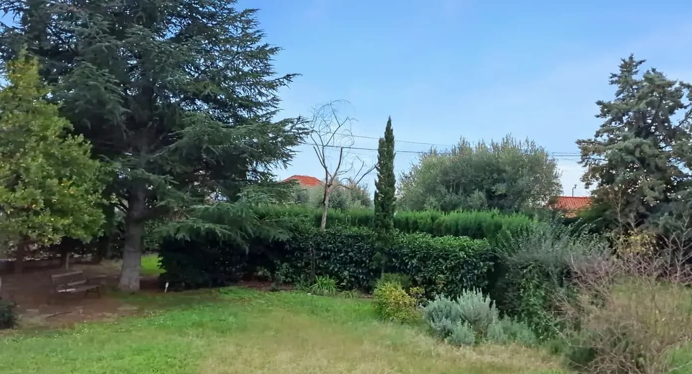 Land plot in Nea Skioni