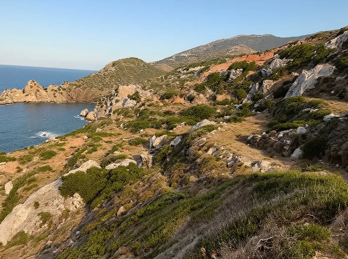 Οικόπεδο — Κόρωνος