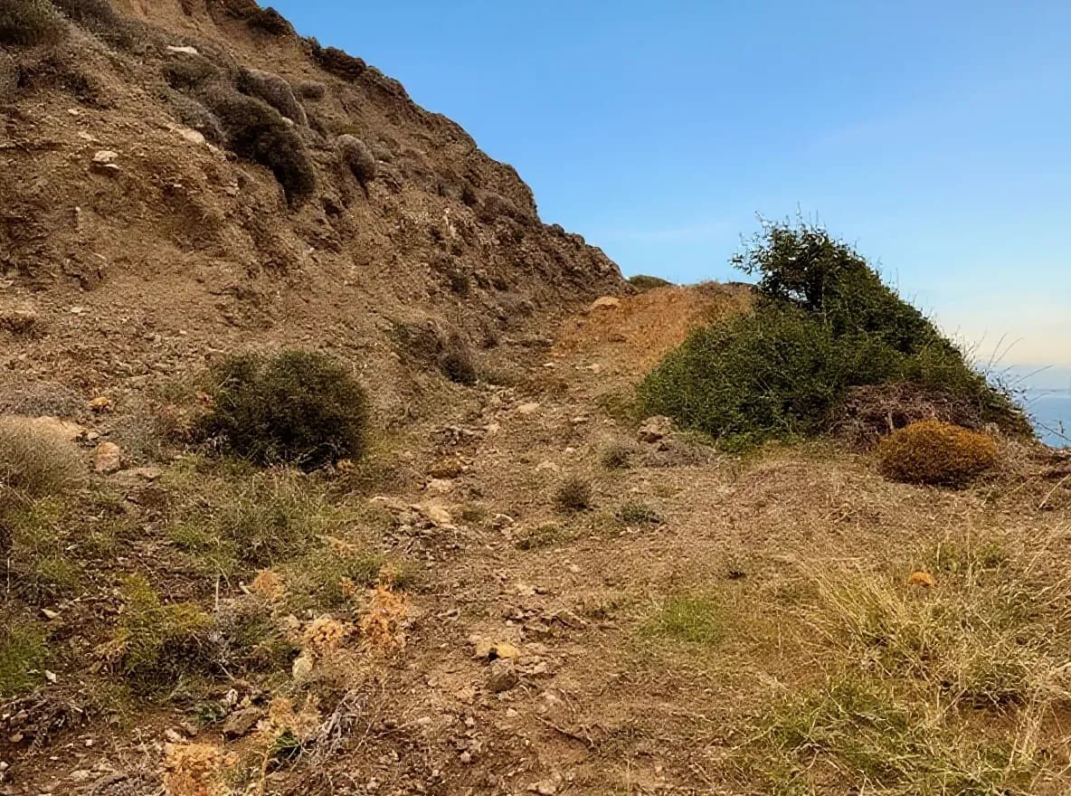 Οικόπεδο — Κόρωνος