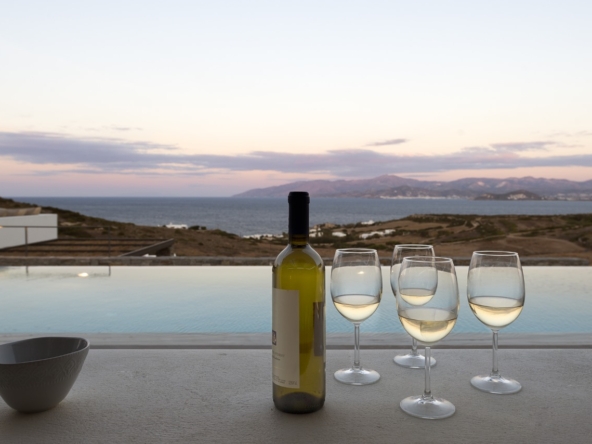 WhatsApp Image 2025-11-21 at 12.07.27